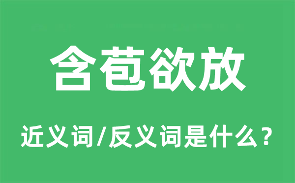 含苞欲放的近义词和反义词是什么,含苞欲放是什么意思