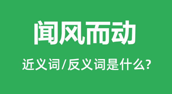 闻风而动的近义词和反义词是什么,闻风而动是什么意思