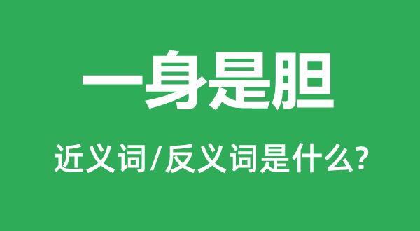 一身是胆的近义词和反义词是什么,一身是胆是什么意思