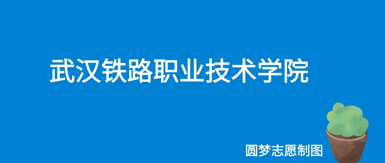 2024武汉铁路职业技术学院录取分数线（全国各省最低分及位次）