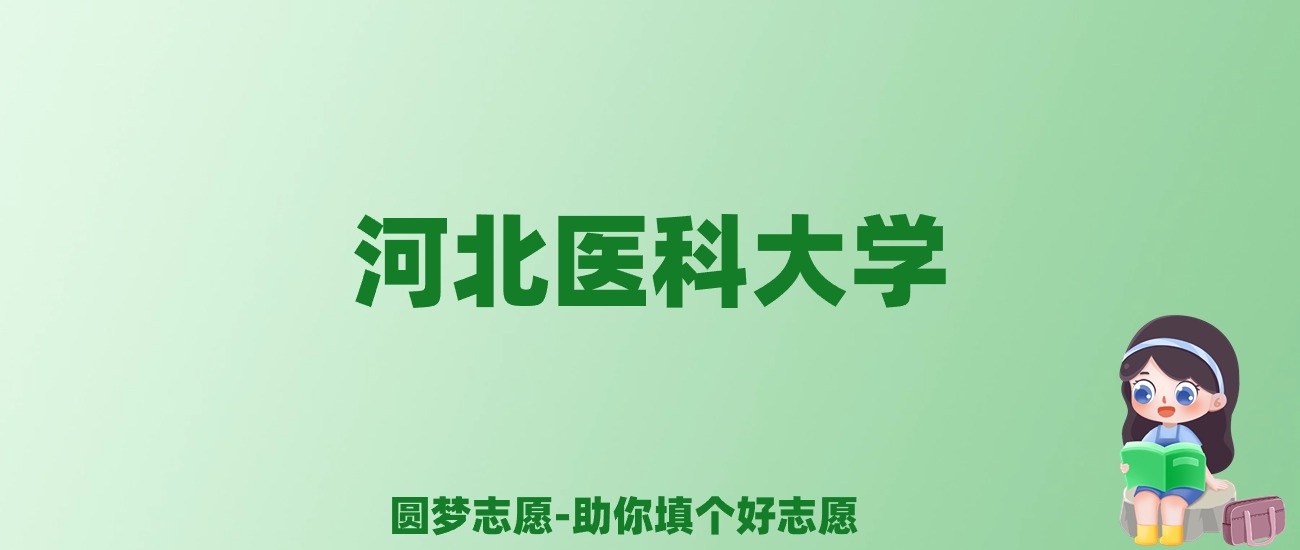 张雪峰谈河北医科大学：和211的差距对比、热门专业推荐