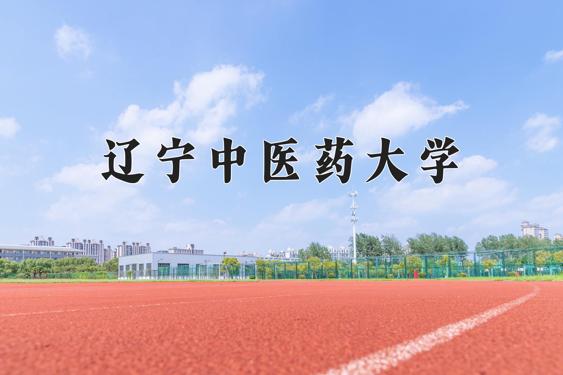 辽宁中医药大学