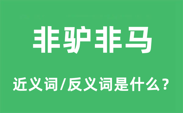 非驴非马的近义词和反义词是什么,非驴非马是什么意思