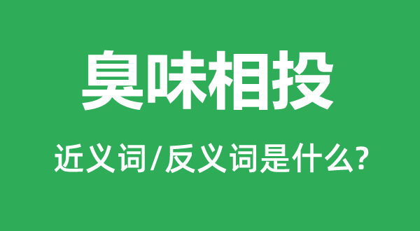 臭味相投的近义词和反义词是什么,臭味相投是什么意思