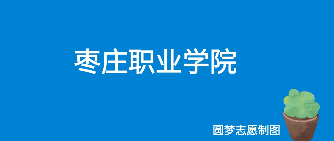 2024枣庄职业学院录取分数线（全国各省最低分及位次）