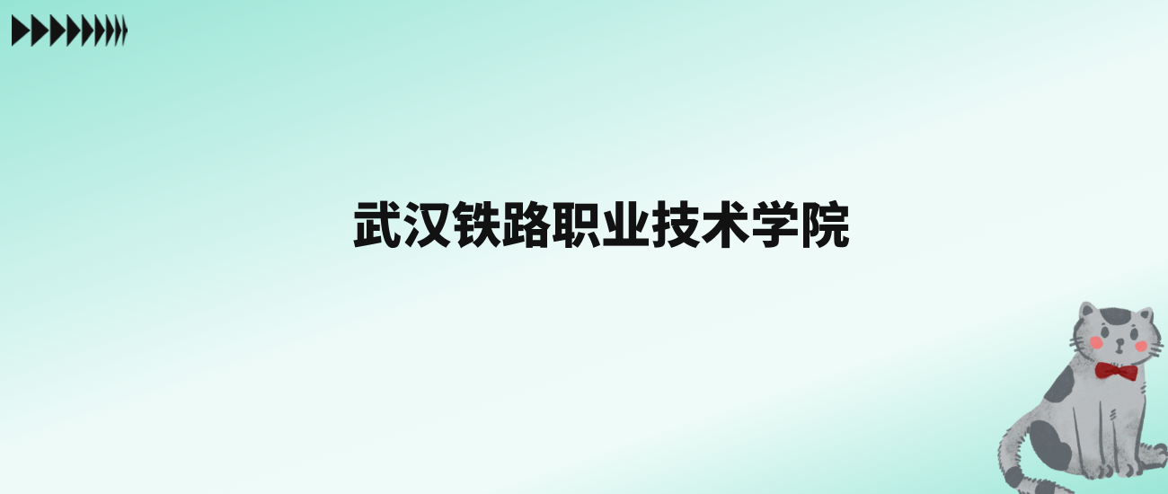 张雪峰评价武汉铁路职业技术学院：王牌专业是铁道机车运用与维护