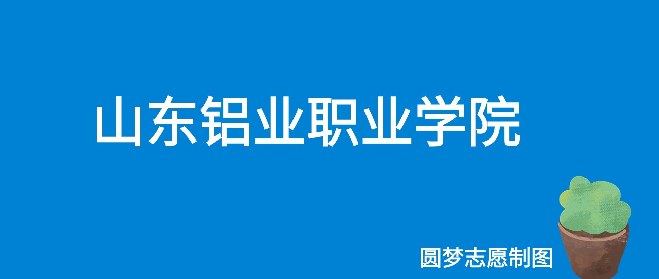 2024山东铝业职业学院录取分数线（全国各省最低分及位次）