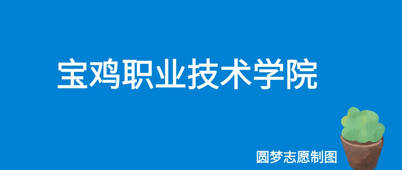 2024宝鸡职业技术学院录取分数线（全国各省最低分及位次）