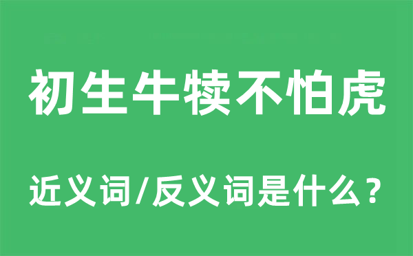 初生牛犊不怕虎的近义词和反义词是什么,初生牛犊不怕虎是什么意思