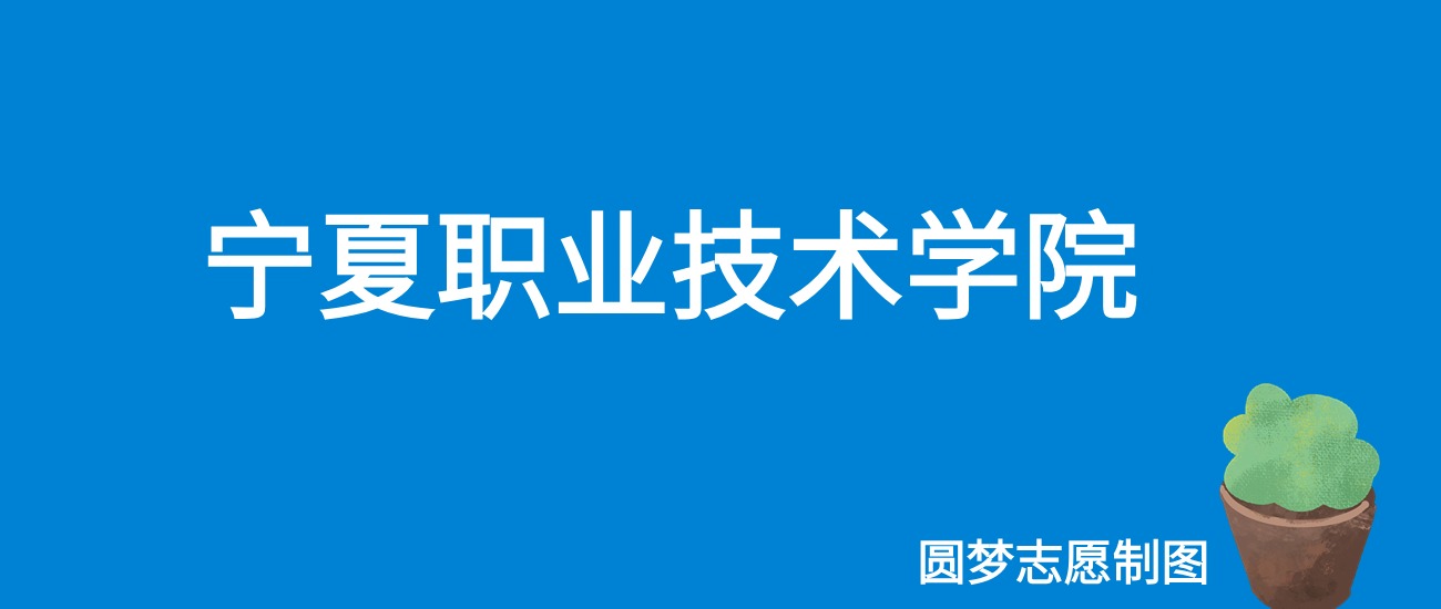 2024宁夏职业技术学院录取分数线（全国各省最低分及位次）