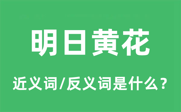 明日黄花的近义词和反义词是什么,明日黄花是什么意思