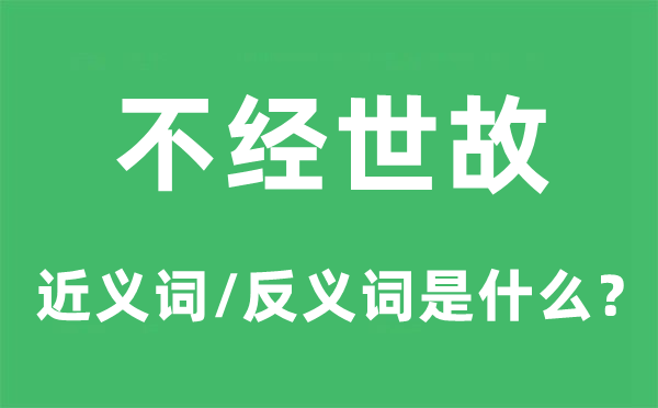 不经世故的近义词和反义词是什么,不经世故是什么意思