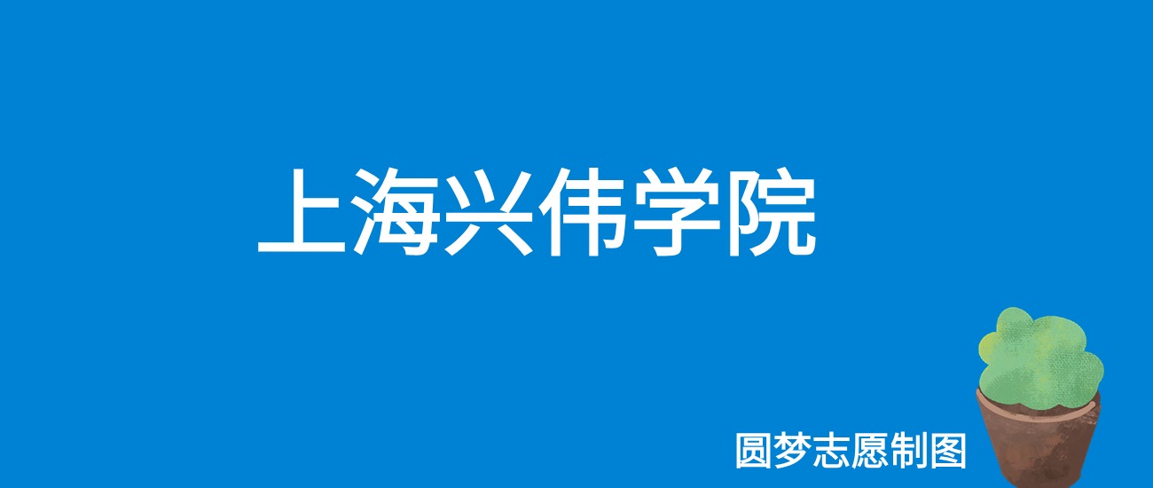 2024上海兴伟学院录取分数线（全国各省最低分及位次）