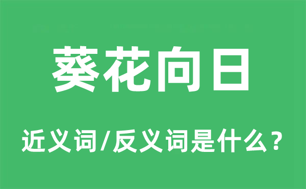 葵花向日的近义词和反义词是什么,葵花向日是什么意思