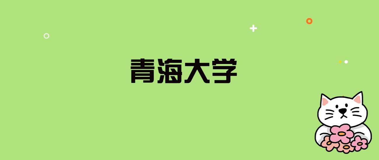 2024年青海大学录取分数线是多少？看全国28省的最低分