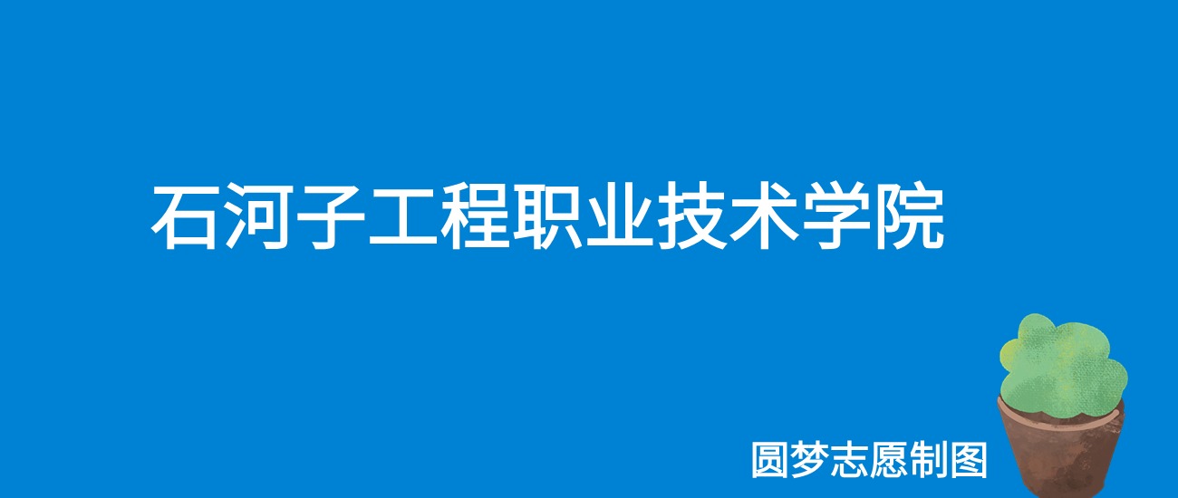 2024石河子工程职业技术学院录取分数线（全国各省最低分及位次）