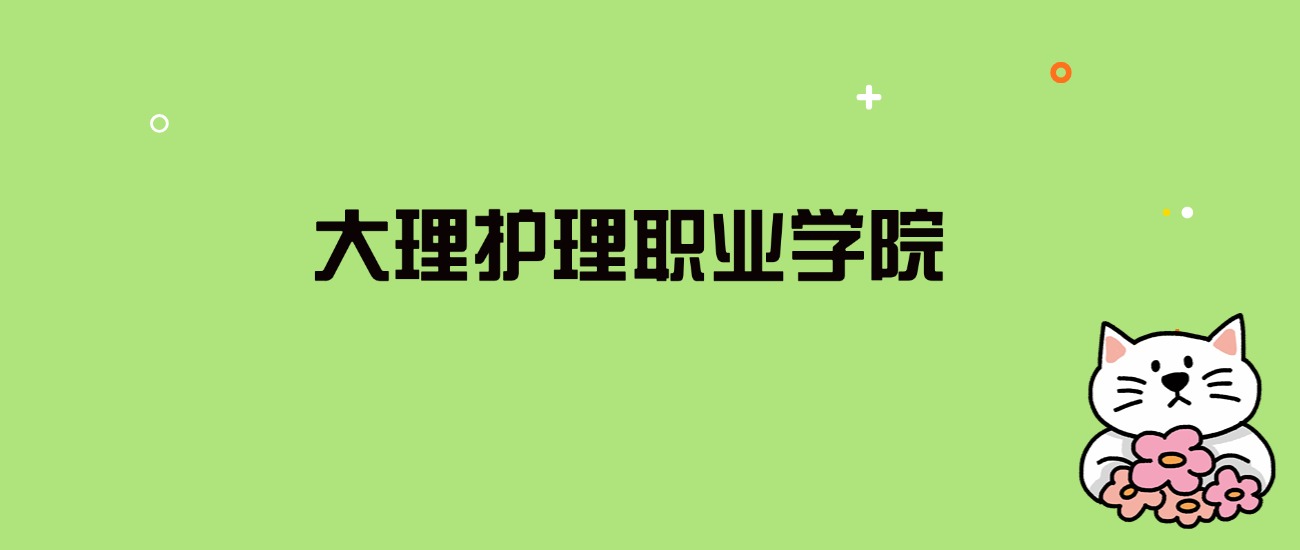 2024年大理护理职业学院录取分数线是多少？看全国9省的最低分