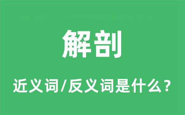 解剖的近义词和反义词是什么,解剖是什么意思