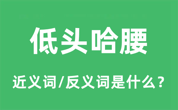 低头哈腰的近义词和反义词是什么,低头哈腰是什么意思