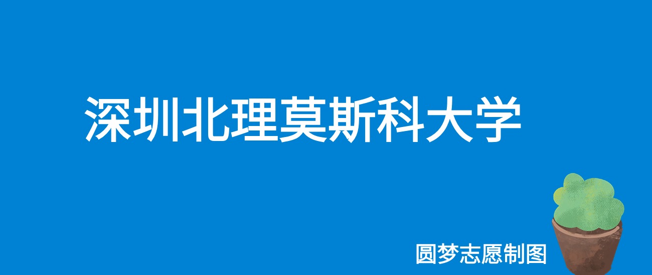 2024深圳北理莫斯科大学录取分数线（全国各省最低分及位次）