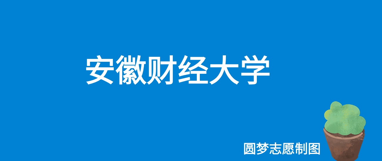 2024安徽财经大学录取分数线（全国各省最低分及位次）