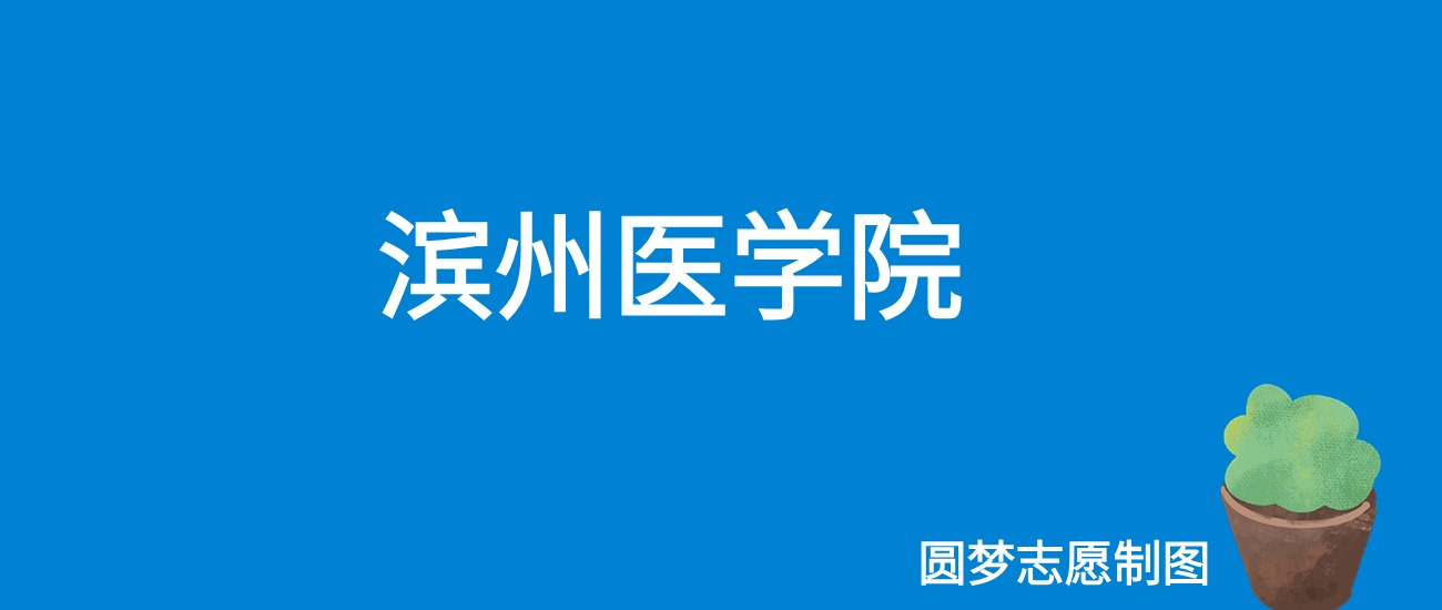 2024滨州医学院录取分数线（全国各省最低分及位次）