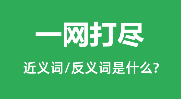 一网打尽的近义词和反义词是什么,一网打尽是什么意思