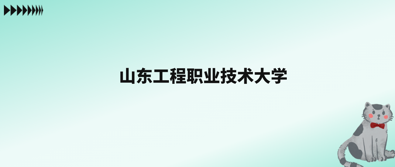 张雪峰评价山东工程职业技术大学：王牌专业是大数据与会计