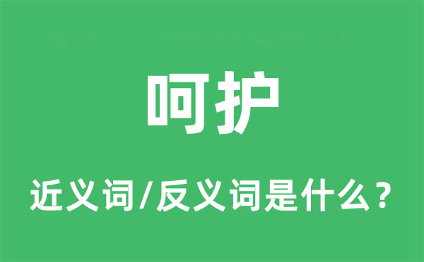 呵护的近义词和反义词是什么,呵护是什么意思