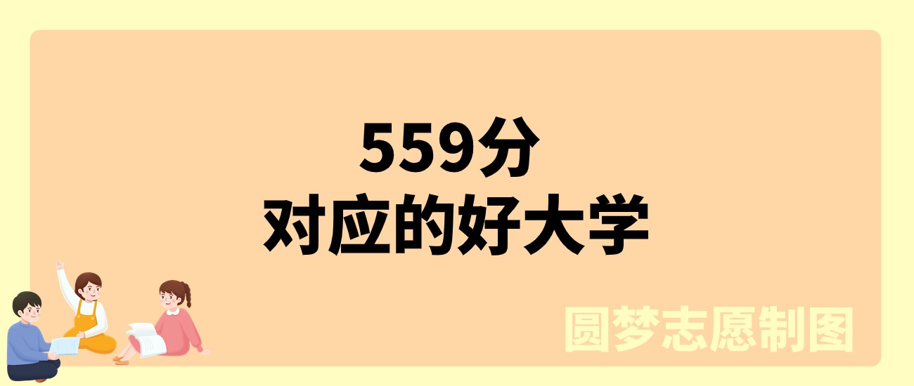 559分物理类能上什么大学？可以报考142所公办