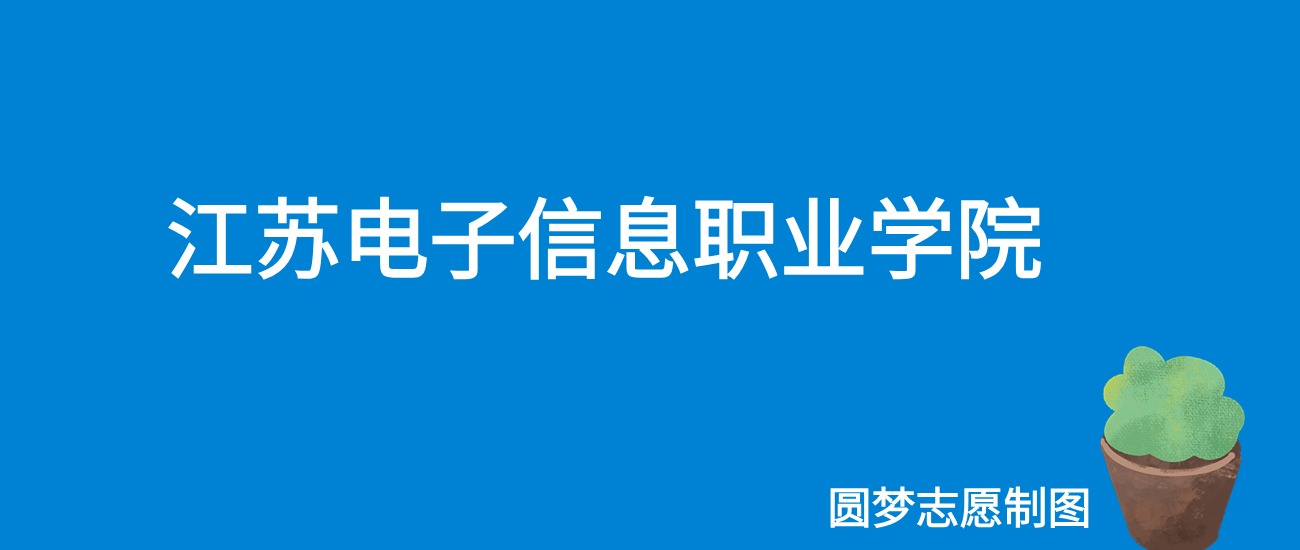 2024江苏电子信息职业学院录取分数线（全国各省最低分及位次）