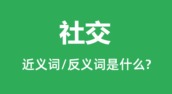 社交的近义词和反义词是什么,社交是什么意思