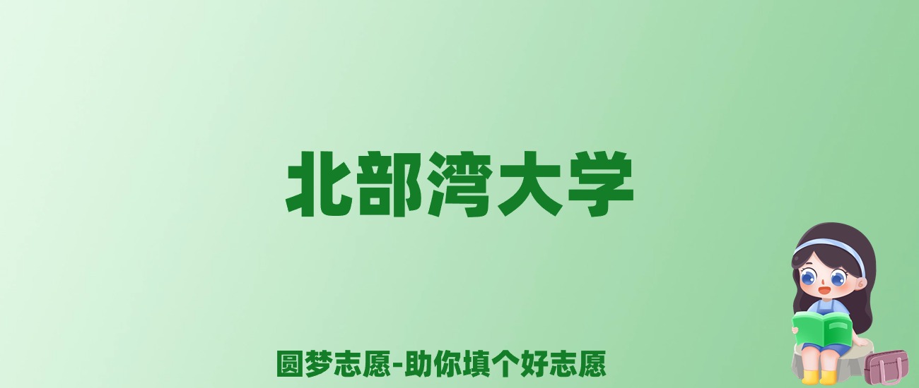 张雪峰谈北部湾大学：和211的差距对比、热门专业推荐