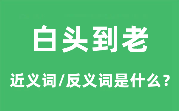 白头到老的近义词和反义词是什么,白头到老是什么意思