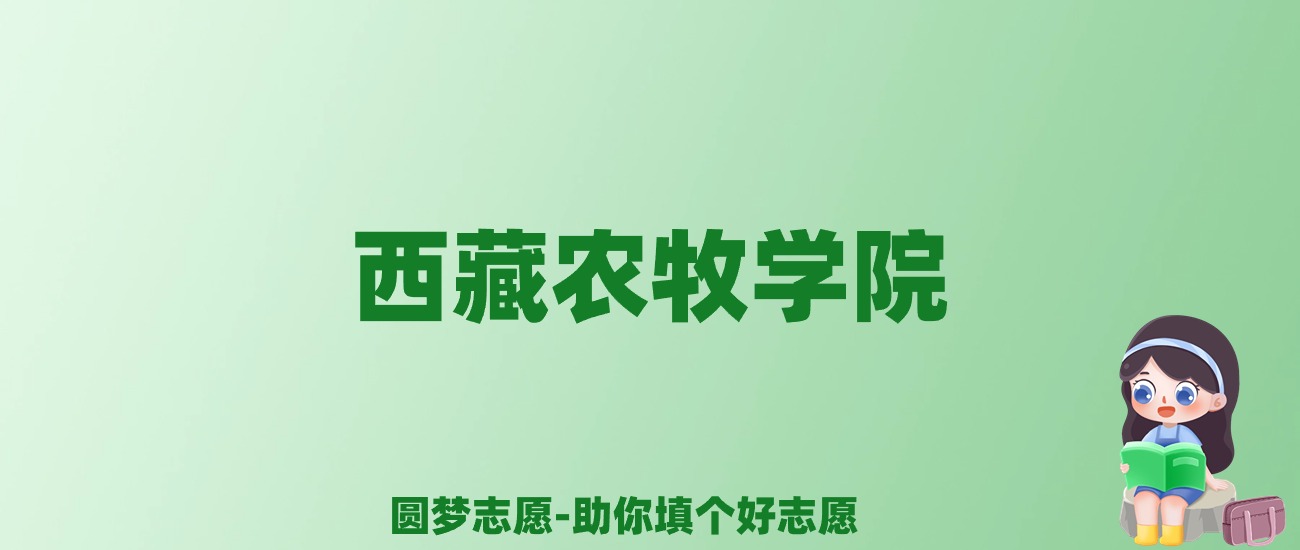 张雪峰谈西藏农牧学院：和211的差距对比、热门专业推荐