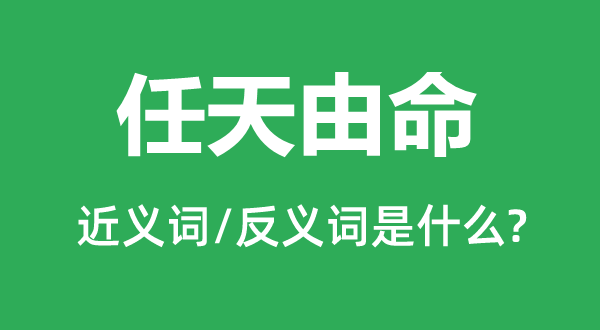 任天由命的近义词和反义词是什么,任天由命是什么意思