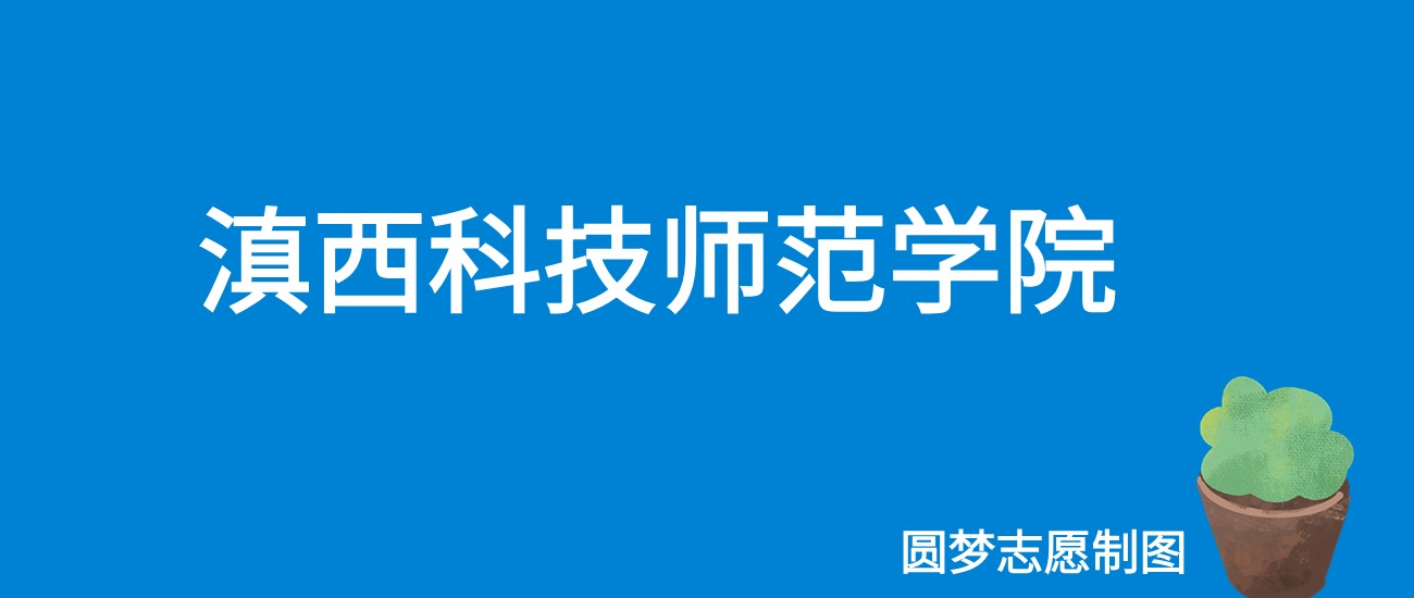 2024滇西科技师范学院录取分数线（全国各省最低分及位次）