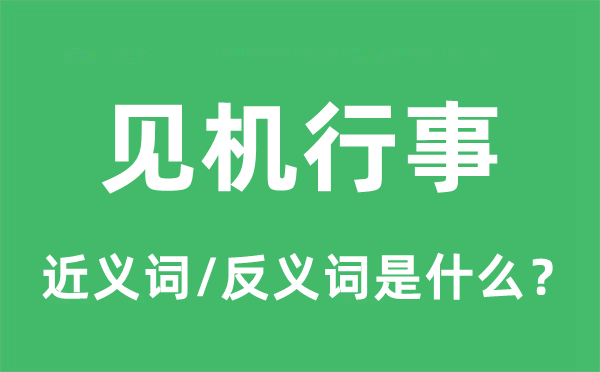 见机行事的近义词和反义词是什么,见机行事是什么意思