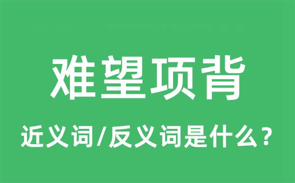 难望项背的近义词和反义词是什么,难望项背是什么意思