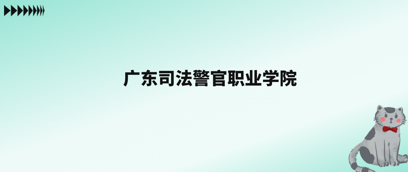 张雪峰评价广东司法警官职业学院：看排名及历年分数线