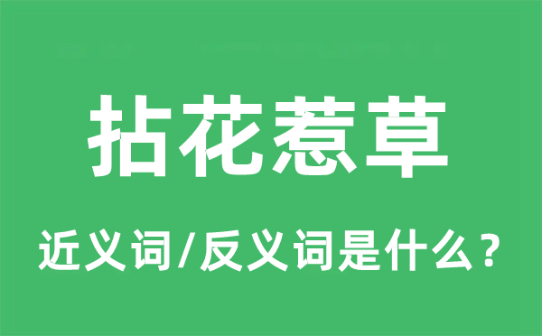 拈花惹草的近义词和反义词是什么,拈花惹草是什么意思