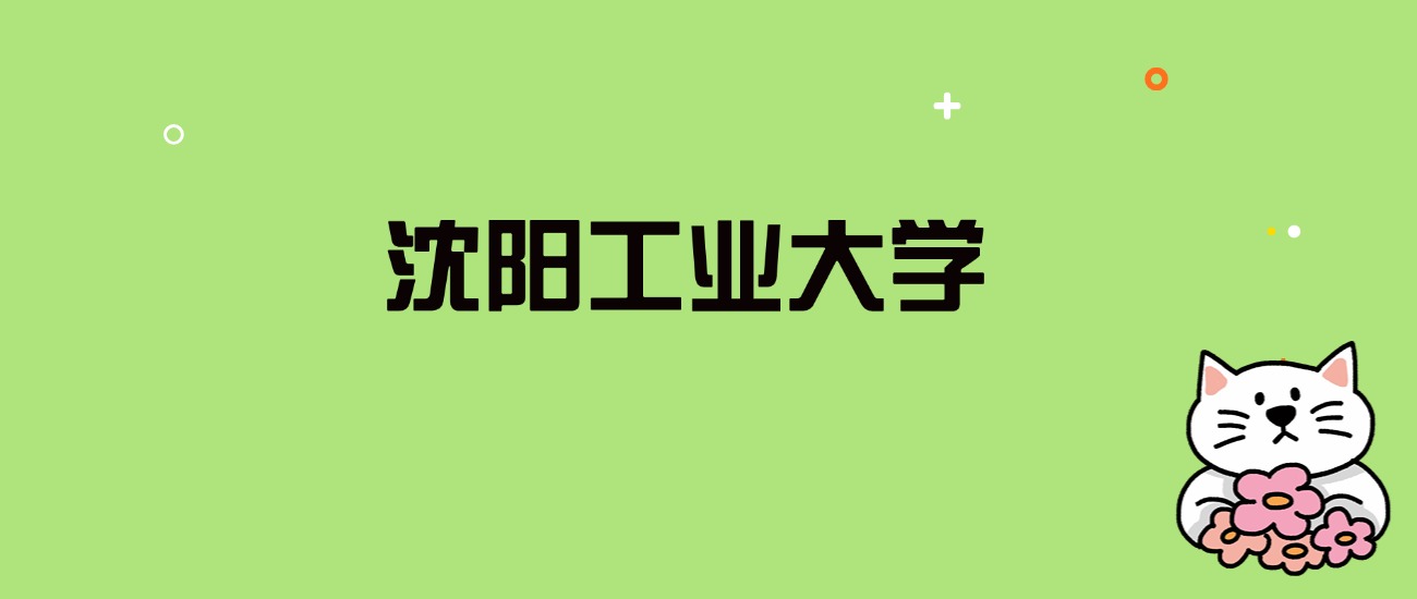 2024年沈阳工业大学录取分数线是多少？看全国29省的最低分