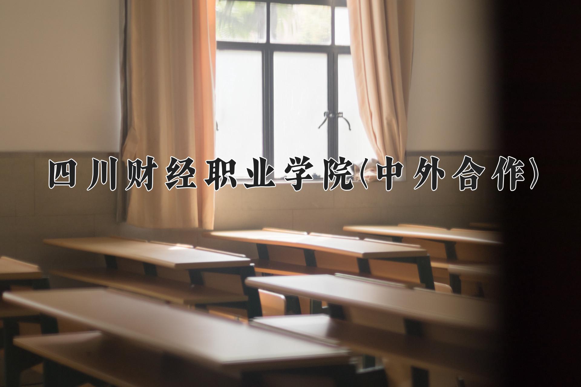 四川财经职业学院(中外合作)