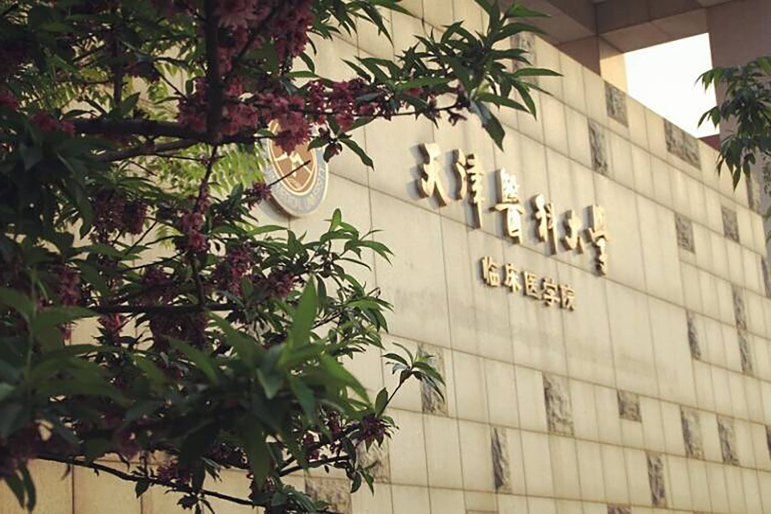 天津医科大学临床医学院