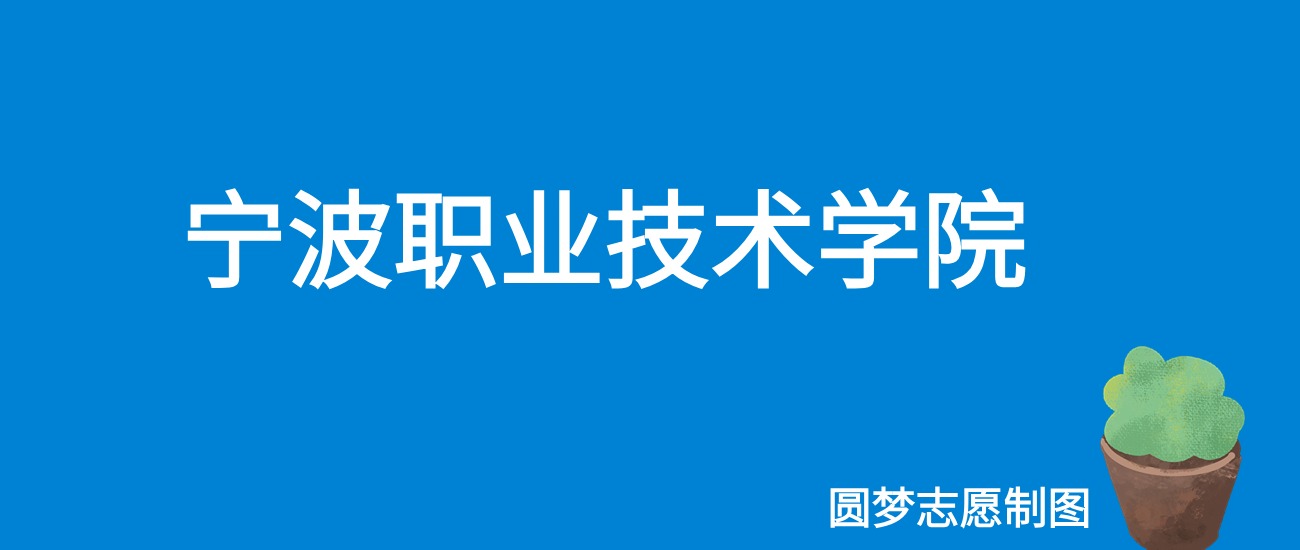 2024宁波职业技术学院录取分数线（全国各省最低分及位次）