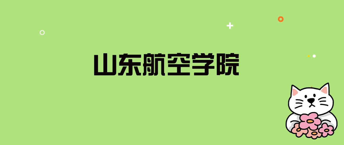 2024年山东航空学院录取分数线是多少？看全国29省的最低分