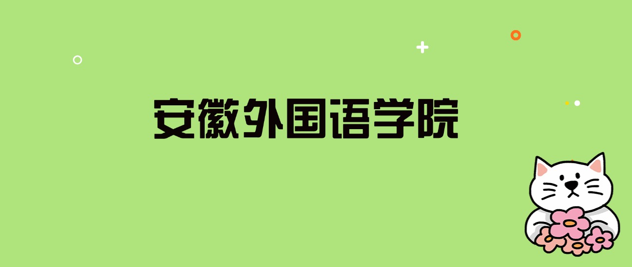 2024年安徽外国语学院录取分数线是多少？看全国7省的最低分