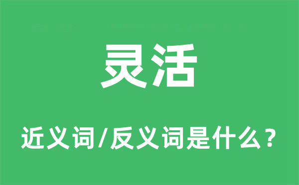 灵活的近义词和反义词是什么,灵活是什么意思