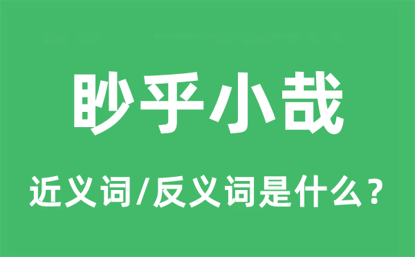 眇乎小哉的近义词和反义词是什么,眇乎小哉是什么意思