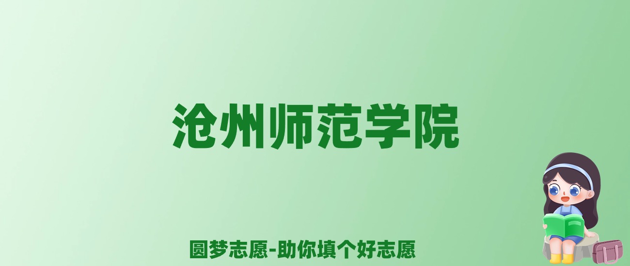 张雪峰谈沧州师范学院：和211的差距对比、热门专业推荐